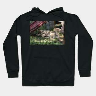 Wolf Puppy Hoodie